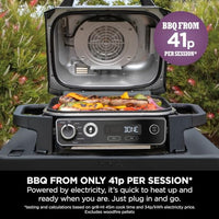 Ninja Woodfire Electric BBQ Grill & Smoker, 7-in-1 Outdoor Grill & Air Fryer, Roast, Bake, Dehydrate, Uses Woodfire Pellets, Weather Resistant, Non-Stick, Portable, Electric, Grey/Black, OG701UK thumbnail 12